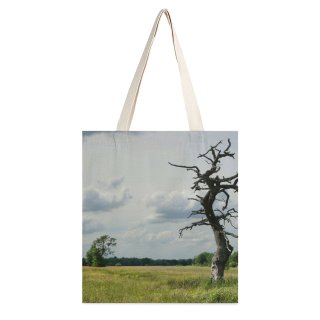NC Great Martin Canvas Tote Bag Double Field Grassland Outdoors Tree Savanna Plant Trunk Ballorveld Gasteren Netherlands Landscape Countryside white-style1 38×41cm