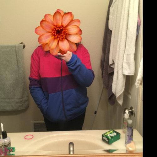 Bisexual Flag Classic Zipper Hoodie