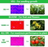 2000W VEG,BLOOM, Full Spectrum LED Grow Light for Indoor Plants 2000W 2ftx2ft 3ftx3ft Coverage -HearGrow GL-A004 (No Timing)