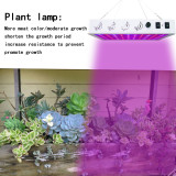 2000W AUTO Timing VEG,BLOOM, Full Spectrum LED Grow Light for Indoor Plants 2000W 2ftx2ft 3ftx3ft Coverage -HearGrow GL-A004-Time - (2PACK)