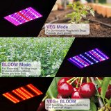 3000W Led Grow Lights for Grow Tent Indoor Plants, Enhanced Full Spectrum with Samsung LM301 Diodes, Smart Control Grow Lamp with Auto ON/Off Timing Functions, Red/IR/UV 200pcs LEDs - HearGrow(2PACK)