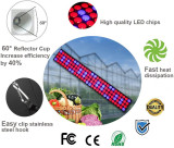 1000W LED Grow Light 4 x 5ft Daisy Chain Timing Function Full Spectrum LED Growing Lights with Veg Bloom Switch Adjustable Rope 2 Cooling Fans for Hydroponics/Indoor Plants/Gardening