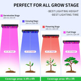 1000W LED Grow Light 4 x 5ft Daisy Chain Timing Function Full Spectrum LED Growing Lights with Veg Bloom Switch Adjustable Rope 2 Cooling Fans for Hydroponics/Indoor Plants/Gardening
