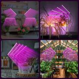 LED Grow Light for Indoor Plants 4 Head Led Grow Light Plant Grow Lamp with Auto 3/9/12H Timer,3 Lighting Modes,10 Level Brightness for Indoor Plants Succulent Veg Flower
