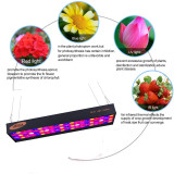 1000W LED Grow Light 4 x 5ft Daisy Chain Timing Function Full Spectrum LED Growing Lights with Veg Bloom Switch Adjustable Rope 2 Cooling Fans for Hydroponics/Indoor Plants/Gardening(2PACK)