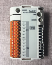 RAIO-01   RAIO01