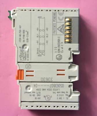WAGO 750-461 2-channel analog input
