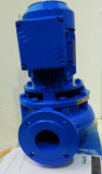 Johnson Pumpe SPX CL65-160 0,75 KW Horizontal Centrifugal Pump
