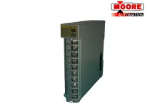 RKC H-AI-A-6666/CE Temperature Controll