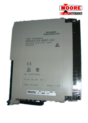 Schneider DEP220 / AS-BDEP-220 electric input module