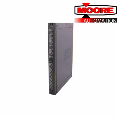 ICS Triplex  T8300C Expander Processor