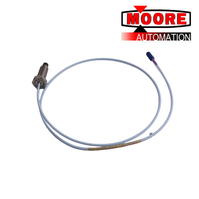 Bently Nevada 22810-00-04-10-02 Proximity Probe