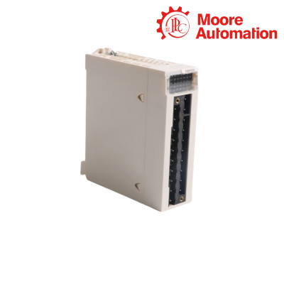 Schneider BMXAMM0600 Analog I/O Module