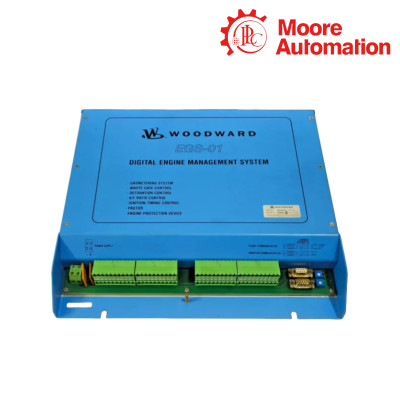 WOODWARD EGS-01(VM2104.0000) Power Regulator Module