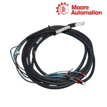 FOXBORO AD204GN C Cable