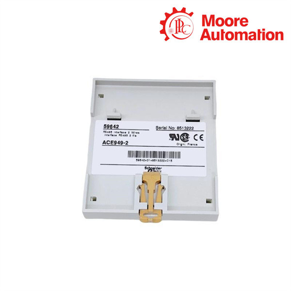 Schneider ACE949-2 2-Wire RS485 Network Interface