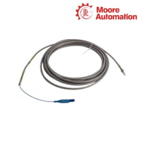 Bently Nevada 330904-00-25-05-02-CN 3300 NSv Proximity Probes