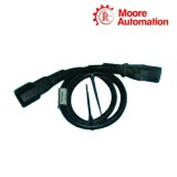 FOXBORO P0170PC Connection Cable