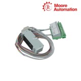 Invensys Foxboro DM900WT Termination Cable Assembly