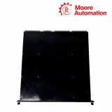 Triconex 3674 | 24 VDC dual digital output module