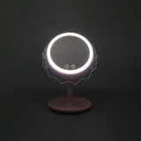 Makeup Mirror LED Lights lighted vanity mirror charging