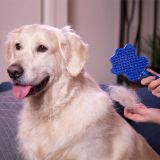 Groom Glider The grooming de-shedding and bathing pet brush