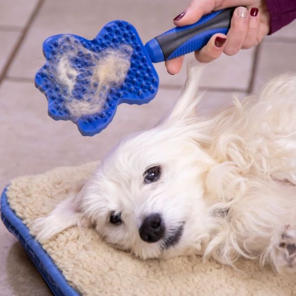 Groom Glider The grooming de-shedding and bathing pet brush