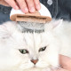 Ge mini Pet Comb Brush