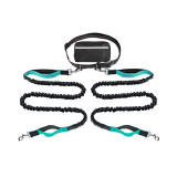 Hands Free Double Dog Leash with Pouch