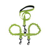 Shock Absorbing Leash for Two Dogs