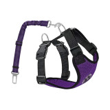 Dog Safety Harness with Seatbelt