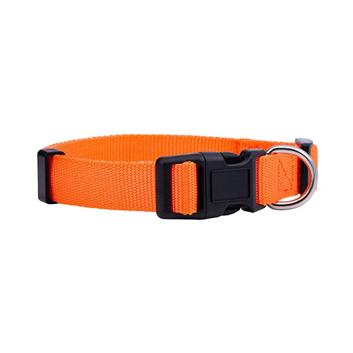 Basic Adjustable Nylon Dog Collar