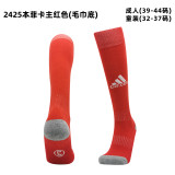 24/25 Club Thai football socks-Adult