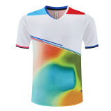 Adult 4 Color Badminton Shirt #S1034 (ZY)