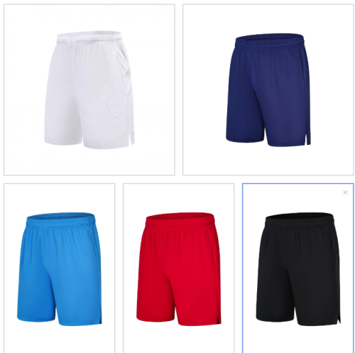 Adult 5 Color Badminton Short #Y512(DN)