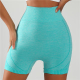 Yoga Shorts 055