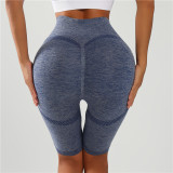 Yoga Capri Pants 057
