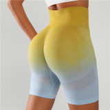 Yoga Shorts 055