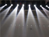 Sharpy Beam 230