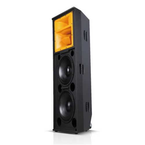 Professional Speaker