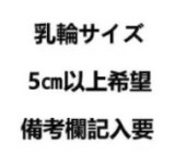 Saki 164cm シリコン+TPE製 WM Doll 萌えポイントラブドール