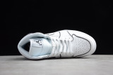 Air Jordan 1 CK6587-100