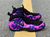 Air Foamposite Pro