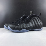 Foamposite Black