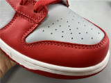 Nike Dunk Low SB Red Grey