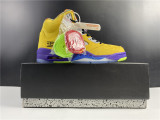 Air Jordan 5 What The