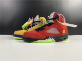 Air Jordan 5 What The