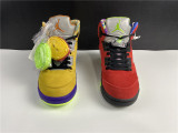 Air Jordan 5 What The