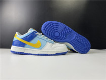 Nike Dunk SB low white blue