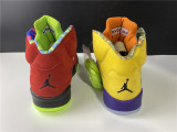 Air Jordan 5 What The